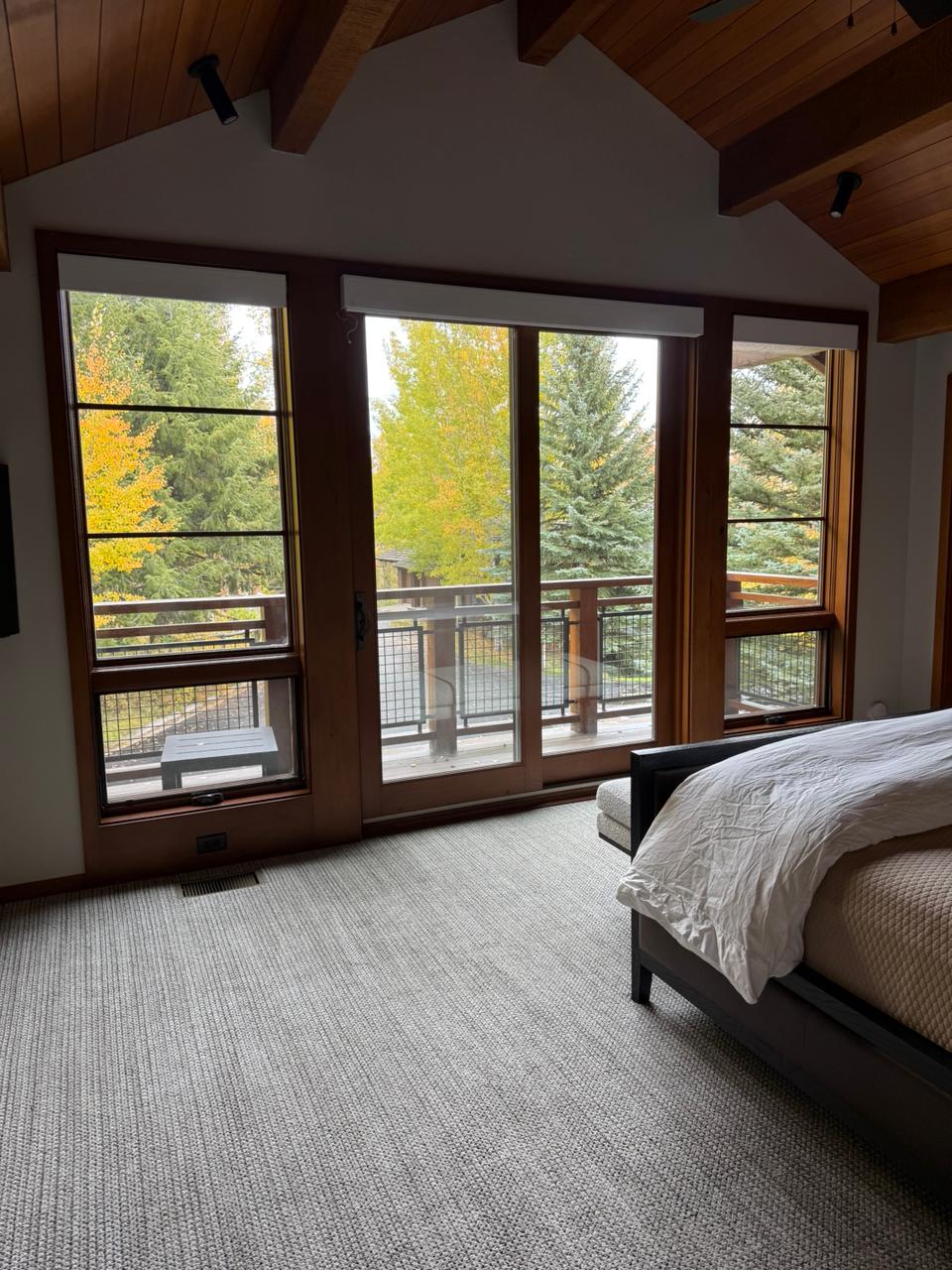 WhatsApp Image 2025-12-15 at 2.57.58 PM